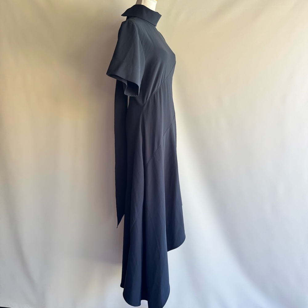 G. Label By GOOP Ren Asymmetrical-Hem Dress - sz 6 - Picture 4 of 9